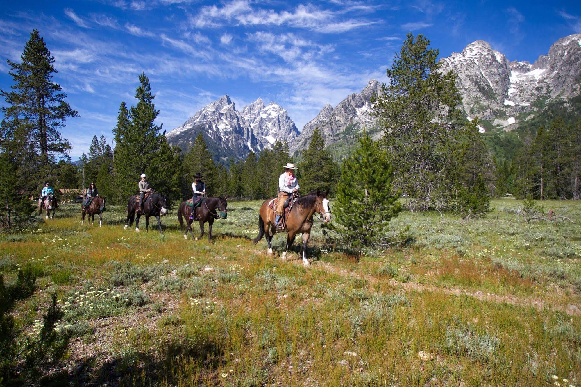 Jenny Lake Lodge Beaver Creek Εξωτερικό φωτογραφία
